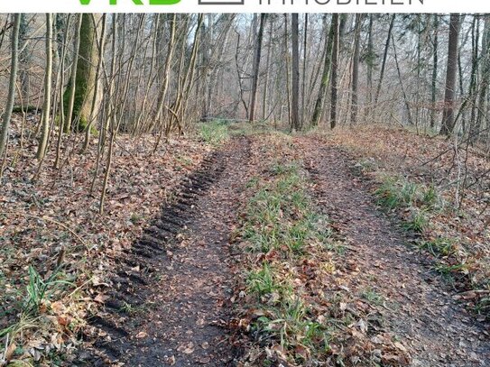 5121 St. Radegund: Für Liebhaber, Freizeitgrund, Laubwald für vielerlei Verwendung!