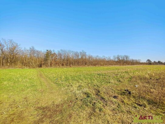 Wohn-Baugrund in Strasshof.- 15. Min zur Stadtgrenze Wien. - Ideal für Familien. - Ruhige und naturnahe Wohnlage.