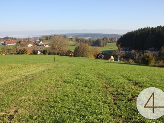 17 ha landwirtschaftliche Nutzfläche mit alter Hofstelle