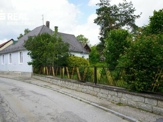 Große Grundstücke mit Altbestand nähe Zentrum