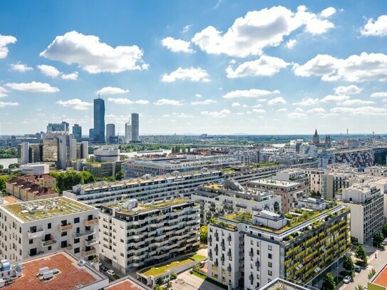 WEITBLICK über den Dächern Wiens - RIESENRAD PANORAMA (T181)