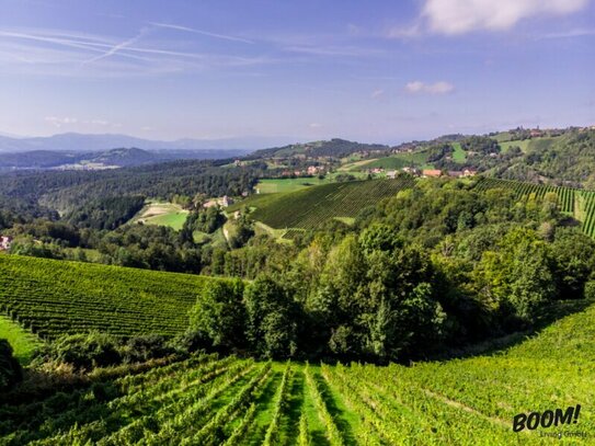 Verwandlung von Grünland in Wein- und Urlaubsparadies
