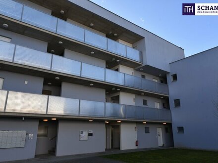 Extremst helle, freundliche 2 Zimmer Wohnung mit Blick ins Grüne und top Infrastruktur - in Liebenau - zu mieten - PROV…