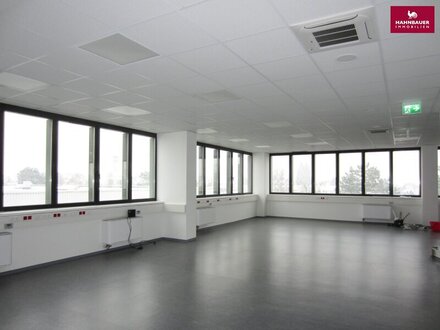 Lagerhalle 1000 m2 + Büro 300 m2 Kombination in 1230 Wien