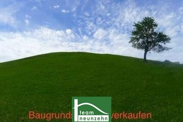 Bauträger aufgepasst! 1.134qm gewichtete Nutzfläche! Exklusive Lage im noblen Langenzersdorf. - WOHNTRAUM