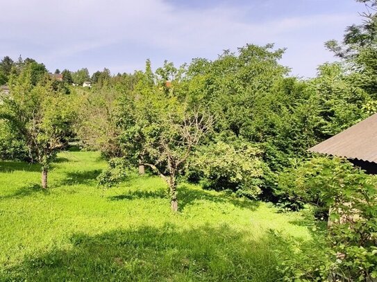 Manhartsbrunn: großer Baugrund in Ruhelage