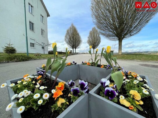 Zentrumsnaher KFZ-Abstellplatz in Prambachkirchen zu verkaufen!