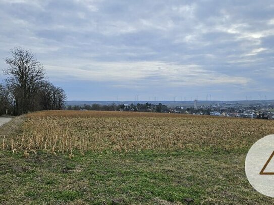 Naturnah investieren: vielseitiges Grundstück in Wilfersdorf!