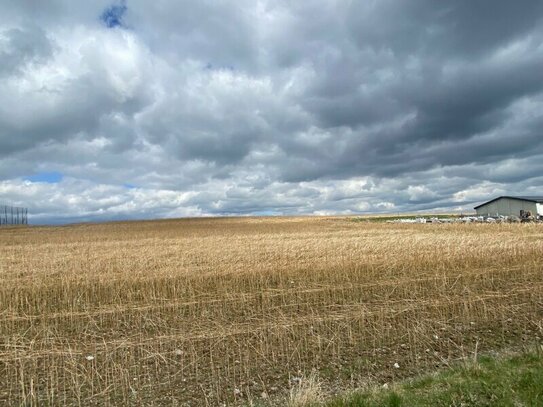 Betriebsbaugrund Krems Land