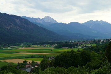 Verwirkliche deinen Lebens(T)raum Landwirtschaft vom Biohof bis zur Pferdehaltung