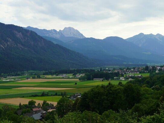 Verwirkliche deinen Lebens(T)raum Landwirtschaft vom Biohof bis zur Pferdehaltung