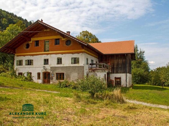 Bauernhof Gebiet Chiemsee - ca. 10 Hektar Wiese und ca. 2 Hektar Wald