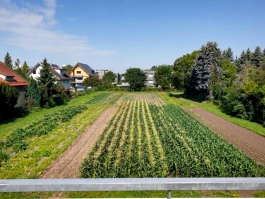 Sehr gepflegte 3 Zimmerwohnung mit Fernblick