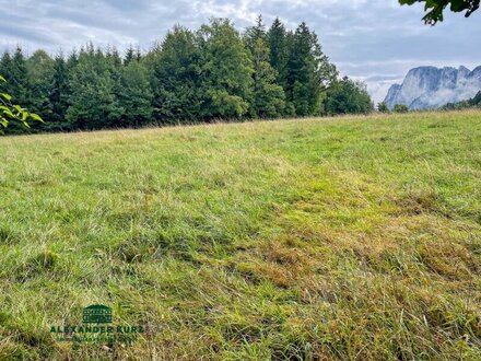 Kleine Land- und Forstwirtschaft, ca. 25 Minuten von Salzburg