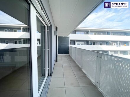 PÄRCHENTRAUM: Tolle 2-Zimmer WOHNUNG im 3. OG + super großer Balkon! EINZIEHEN und WOHLFÜHLEN! Anschauen lohnt sich!
