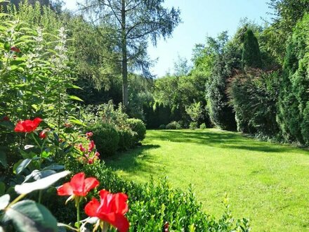 Für Naturliebhaber! Grundstück mit Wohnhaus in Waldrandlage