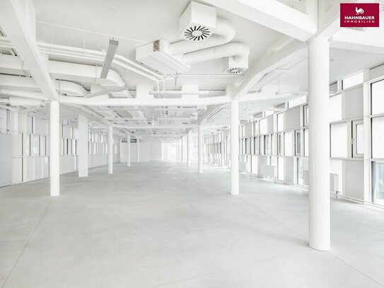 Geräumiges 1200 m2 Büro in 1140 Wien, Parkplätze, öffentlich gut erreichbar