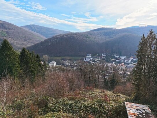 Baugrund in Südlage am Sagberg - TEILBAR in drei Parzellen!