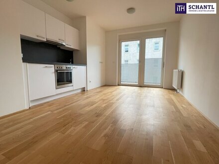 STUDENTENHIT: Tolle 2-Zimmer WOHNUNG im 1. OG + super großer Balkon! EINZIEHEN und WOHLFÜHLEN! Anschauen lohnt sich!