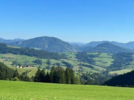 Sonnenlage! Baugrund für ihr Eigenheim in wunderschöner Lage im Mostviertel!