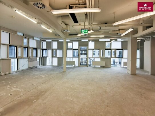 600 m2 Büro + 290 m2 Produktion Lager in 1140 Wien