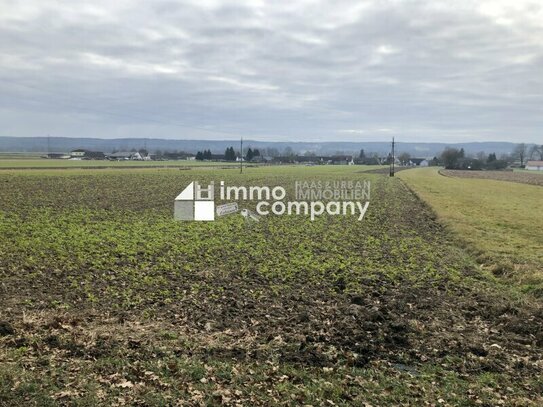 Schöner Baugrund unweit von Jennersdorf