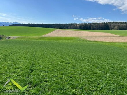 Baugrundstücke im Grünen mit einzigartigem Panoramablick