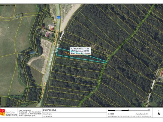 Wald im Gemeindegebiet Jennersdorf - Wertanlage