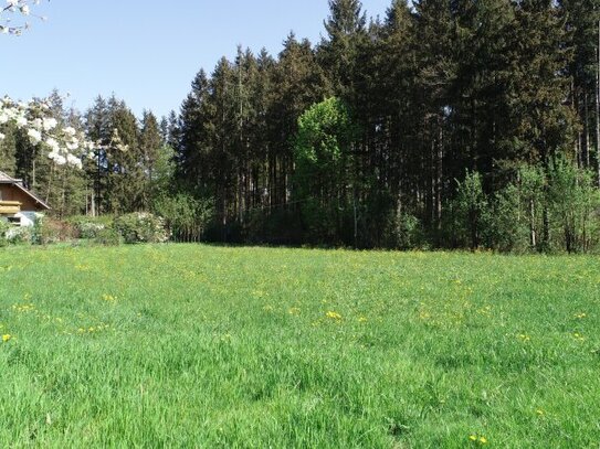 Schönes, ruhig und sonnig gelegenes Grundstück am Waldrand in Bürmoos