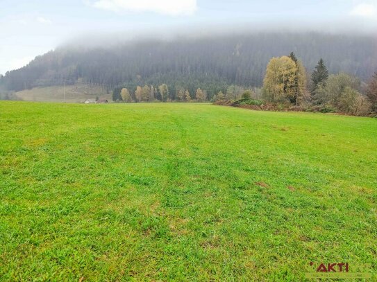 Gewerbe-Grund nahe Feldkirchen. - Flexible Größen ab 1.000 m² für ihren Standort. - Voll erschlossen.