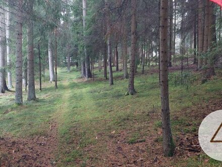 Nutzgrund sucht Bauer! Waldgrundstücke