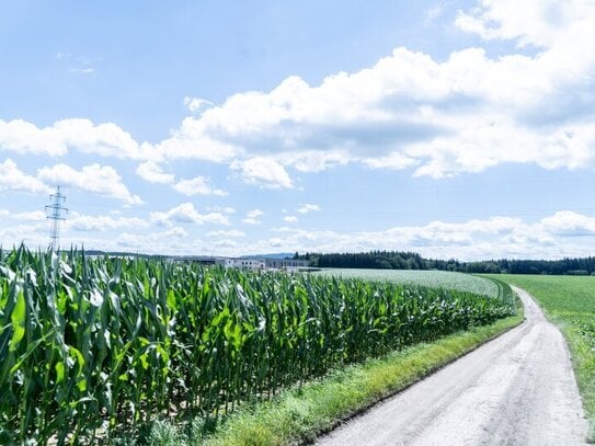 Perfekte Investition: Großzügiges Betriebsbaugrundstück mit Grünblick in Wolfern