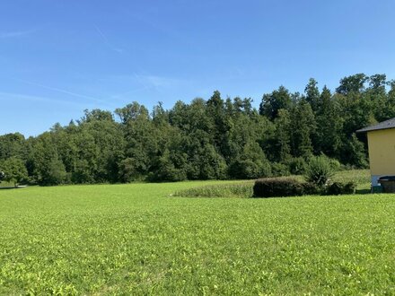 Eberstalzell - Eigentumswohnungen in Top Lage