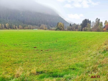 Gewerbe-Grund nahe Feldkirchen. - Flexible Größen ab 1.000 m² für ihren Standort. - Voll erschlossen.