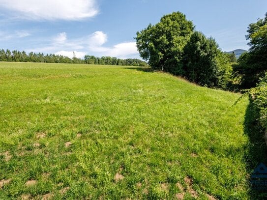 Aus 1 mach 2: teilbares Baugrundstück in sonniger Naturlage, Salzburg - Itzling