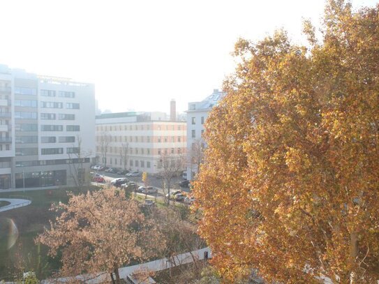 Unverbaubarer Parkblick, sonnig und ruhig!