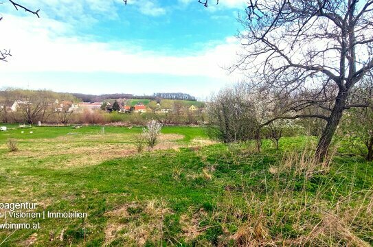 3663m² ca.1200m² reiner Baugrund mit Blick und Zugang zur Leitha