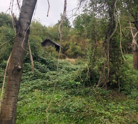 Grund mit Hütte für Ruhe und SEELE