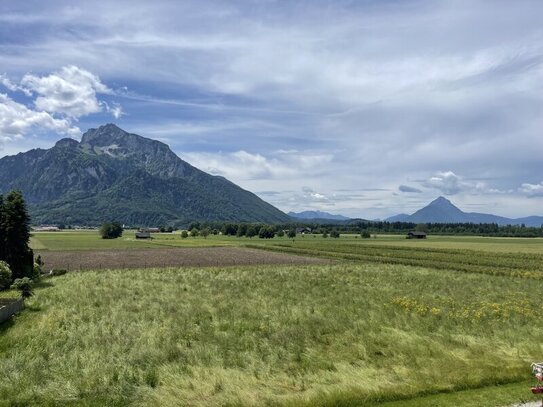 NEUER PREIS! PANORAMABLICK direkt am Naturschutzgebiet - Landhausvilla mit viel Potential und 4 Wohnungen auf 1000m² Gr…