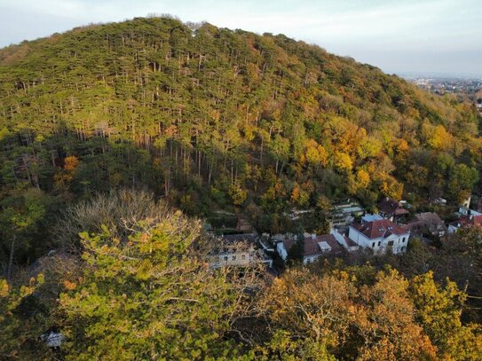 TOPLAGE baugenehmigtes Wohnbauprojekt für 5 Familienhäuser in außergewöhnlicher Villen-Waldrandlage I Rundum Natur pur!