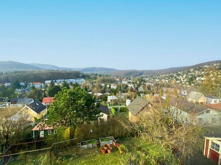 Bergfeeling pur! Traumhaftes Aussichtspanorama am Gipfel des Wolfersberges