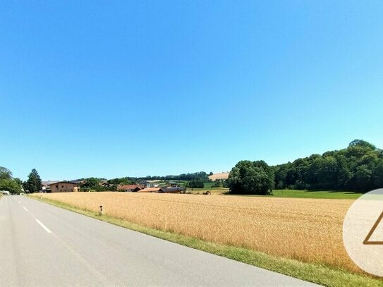 Schönes Baugrundstück in sonniger Lage