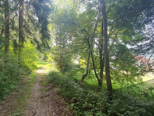 Baugrundstück am Waldrand von Weer