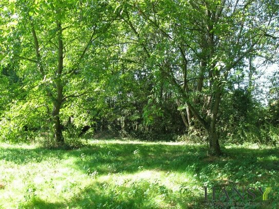 TIPP: Baugrundstück für Naturliebhaber in einem VOGELPARADIES Nähe Lébény - Mosonszentmiklós ( Ungarn )