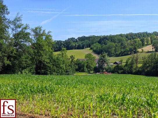 20 ha landwirtschaftlicher Grund in sehr guter Lage - 20 € pro m² - Teilkäufe möglich