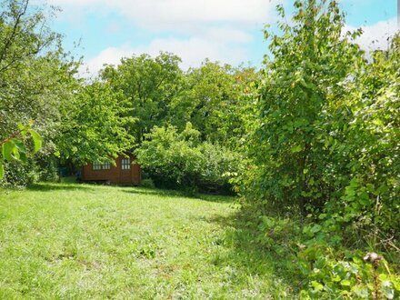 Baugrundstück in idyllischer Lage auf leichtem Südhang in Tulln-Nähe