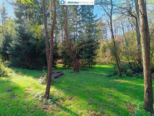 Smarthaus mit A++ Bewertung im Herzen des Őrség Nationalparks mit eigenem Wald