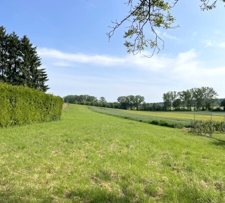 Litzelsdorf: Grundstück in Ruhelage ohne Bauzwang