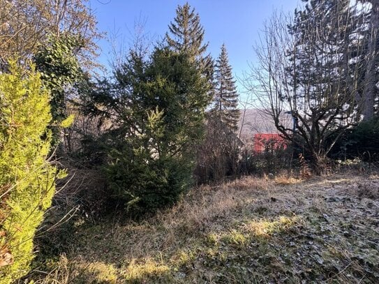 Außergewöhnliches Grundstück mit traumhaftem Blick auf den Wienerwald!