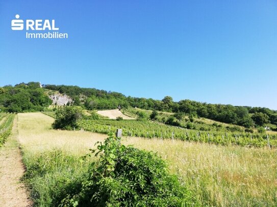 2352 Gumpoldskirchen, Wunderschönes Grundstück (4.949,00 m²) im Naturschutzgebiet mit Wohlfühl-Häuschen